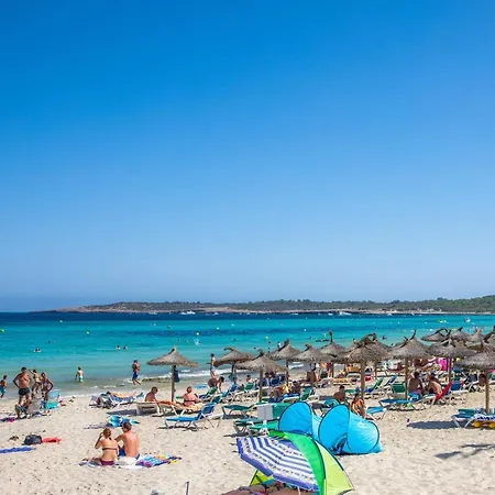 Dofi Cala Millor (Mallorca)
