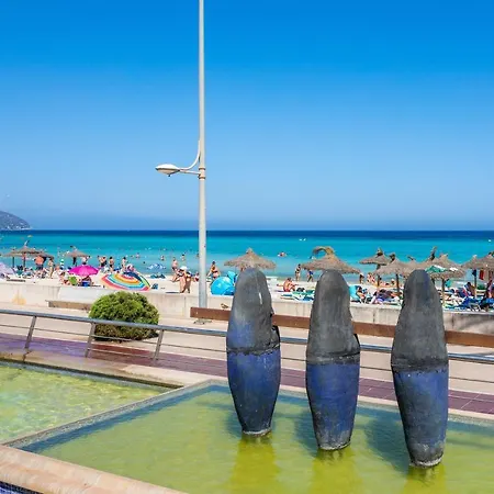 Dofí Cala Millor (Mallorca)